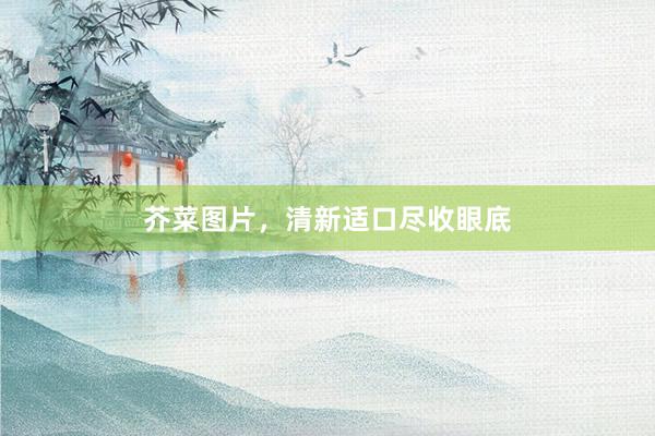 芥菜图片，清新适口尽收眼底