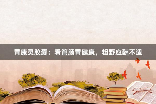胃康灵胶囊：看管肠胃健康，粗野应酬不适